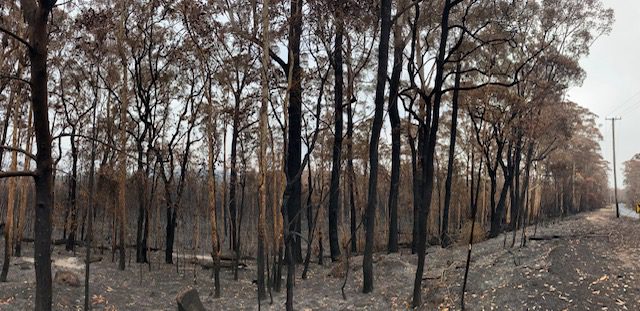 The whereabouts of climate change adaptation