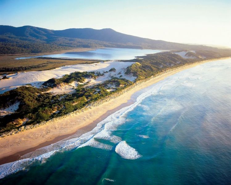 ESTUARINE WATER LEVELS