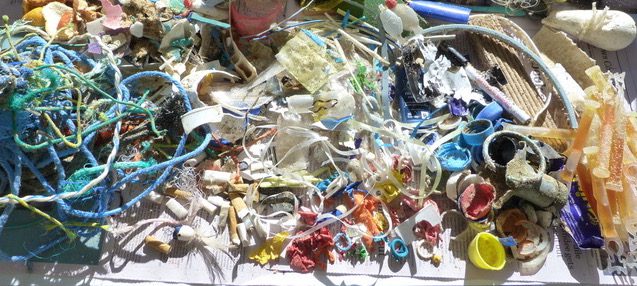 Observations from a long time marine debris collector.