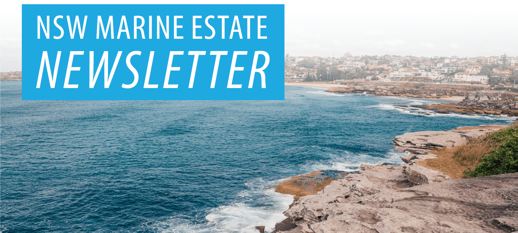 NSW Marine Estate Newsletter - February 2019 | Australian Coastal Society