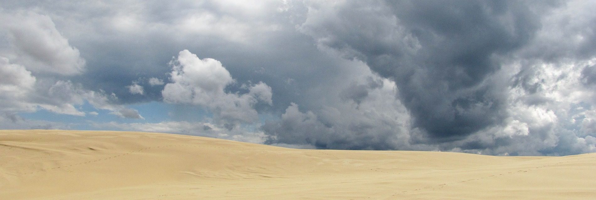 Port Stephens-Myall Lakes 1960 – Research Opportunities