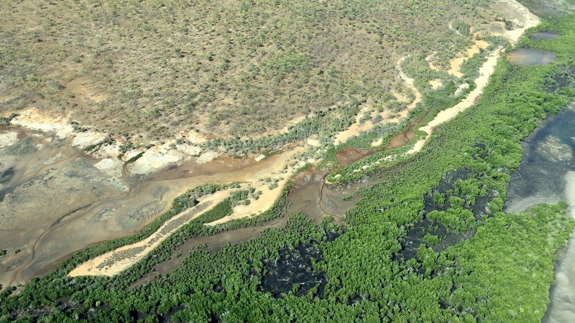 ESTUARY WETLANDS AND SEA-LEVEL RISE