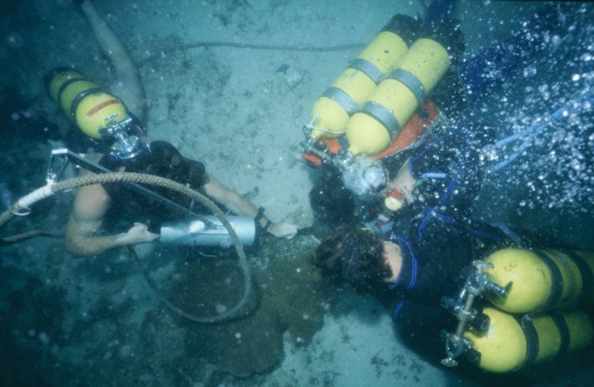 Cootamundra Shoals Survey 1982