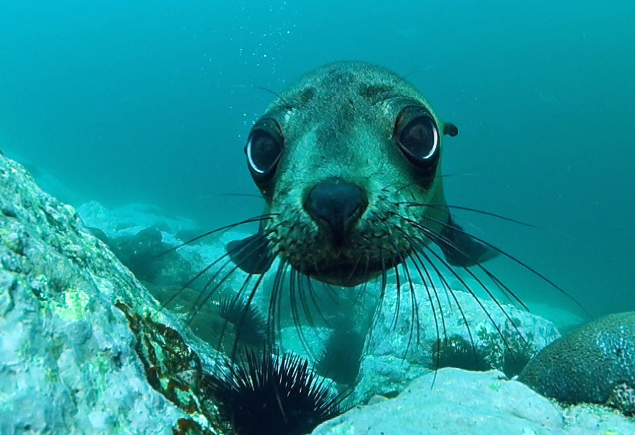 Protecting Nature: Art of the Impossible?