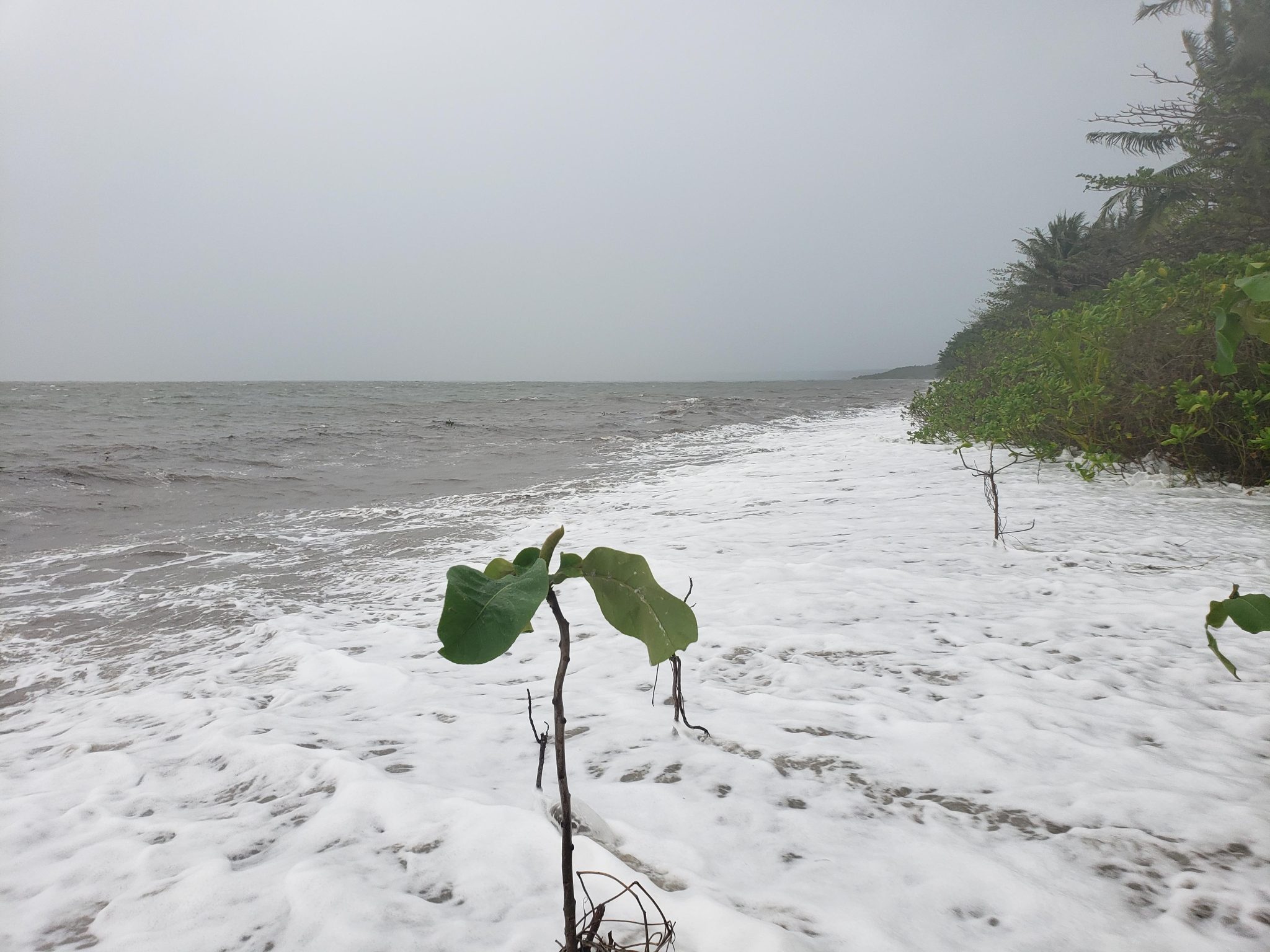 Coastal hazards, insurance and Federal powers