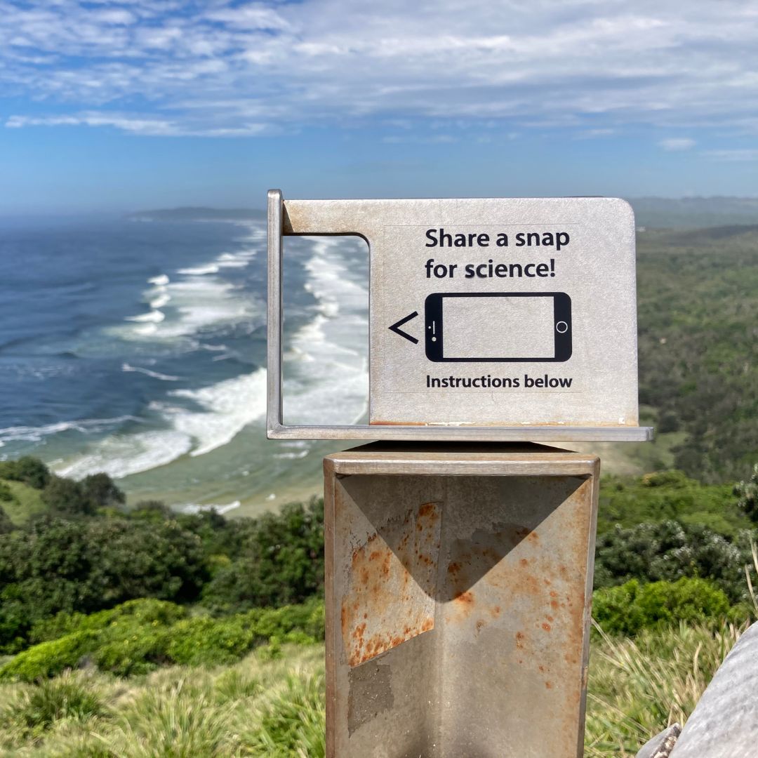 Environmental Monitoring: Values, Applications and Consequences