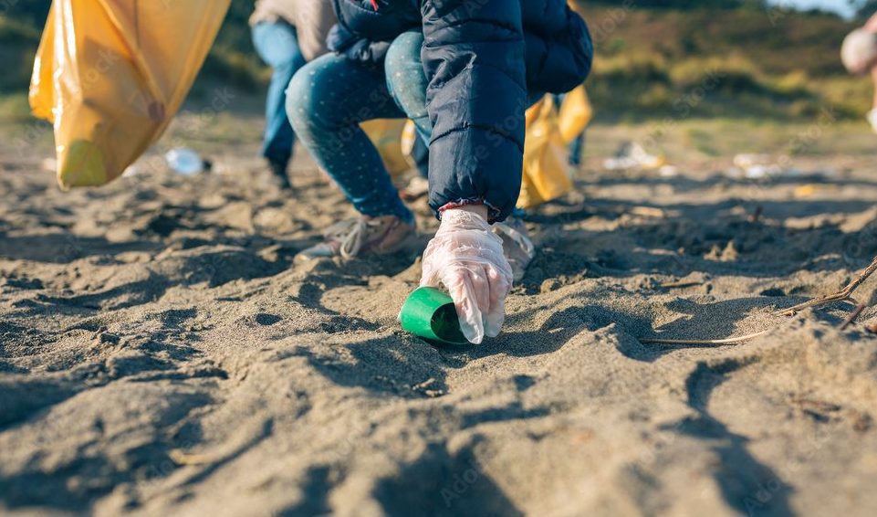 Coasts and Clean Seas: NHT Program 1999-2000