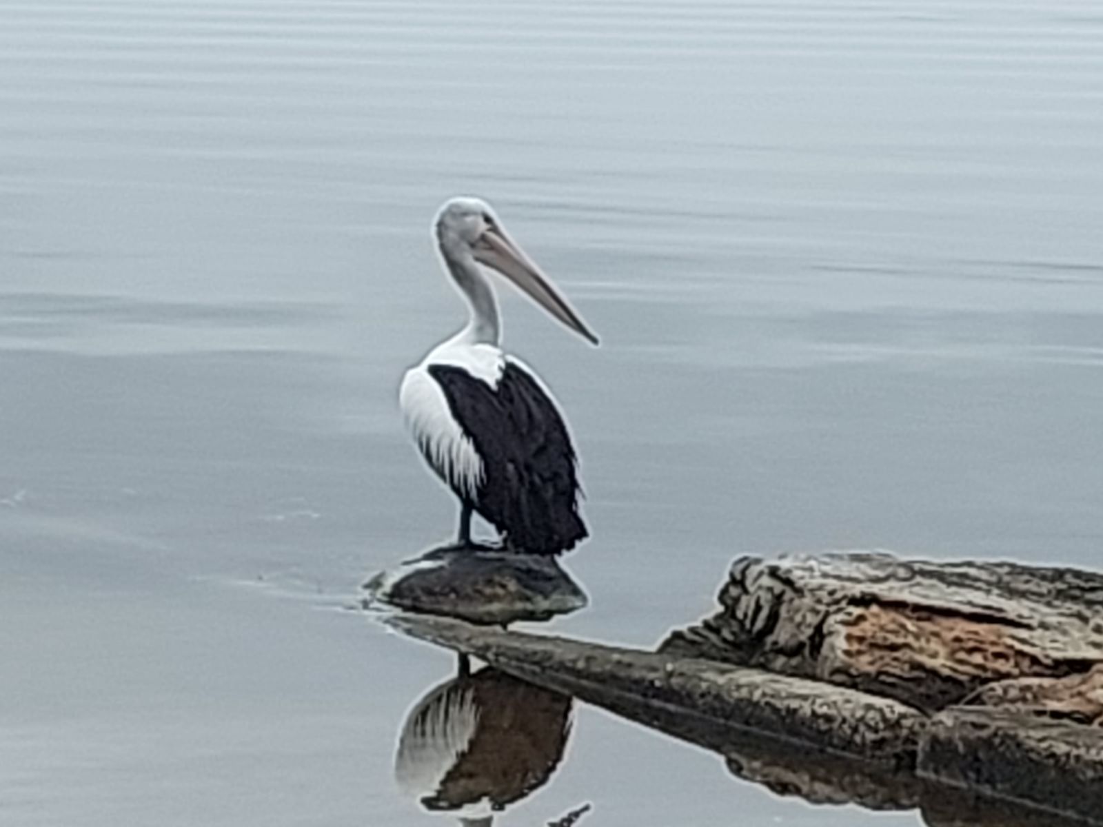 South Coast Journey: 31st NSW  Coastal Conference