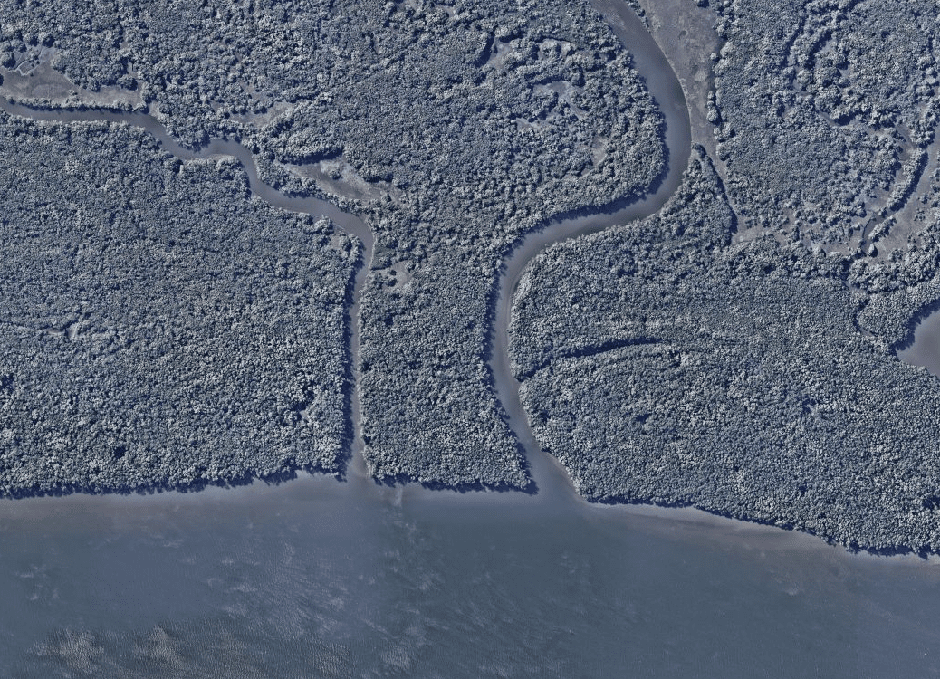 Coastal Wetlands: A Legal Perspective