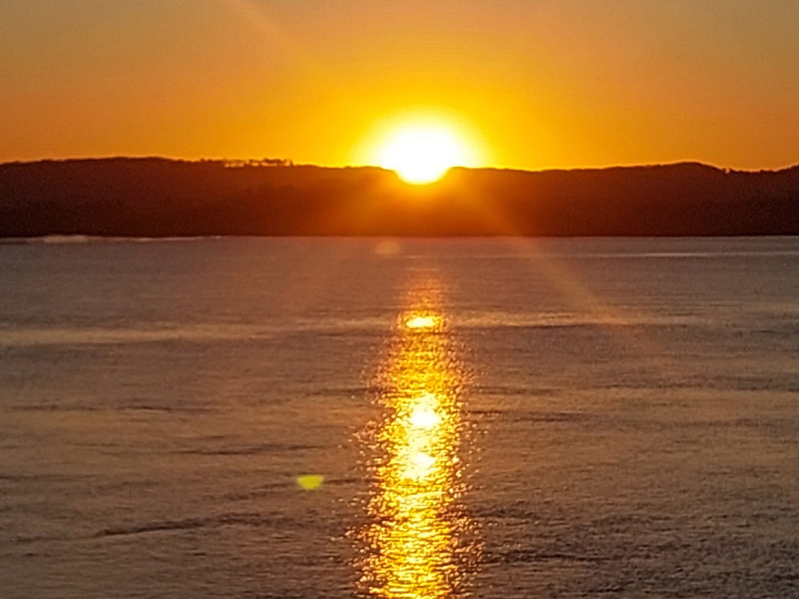 River Estuary of Death – Fish Kill on the Richmond River