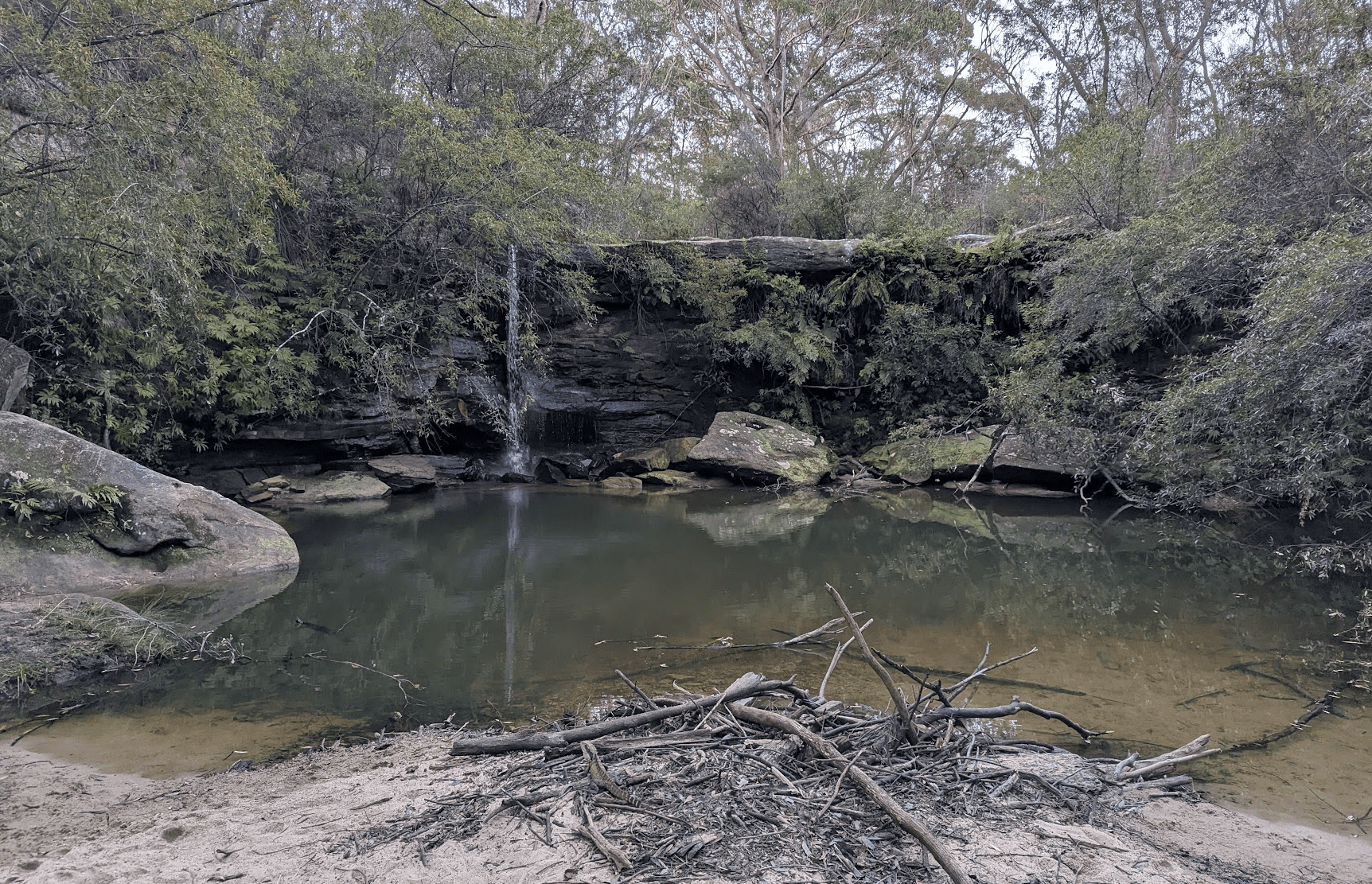 Environmental Reforms: Opportunities That Must Not Be Missed