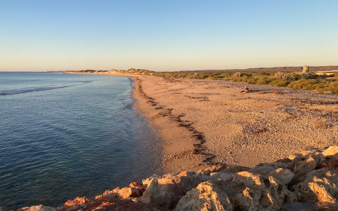 The First Inventors: A Coastal Perspective