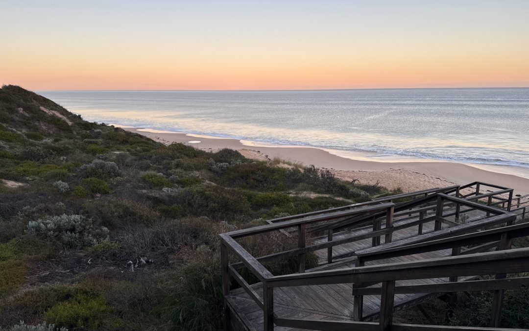 Update On The Australian Coastal Society Website